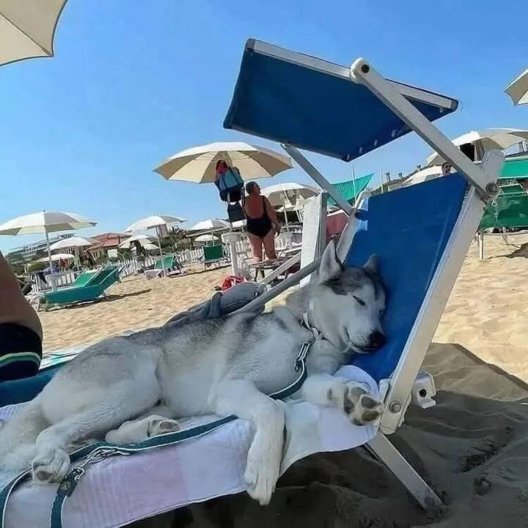Foto de perfil de Esther