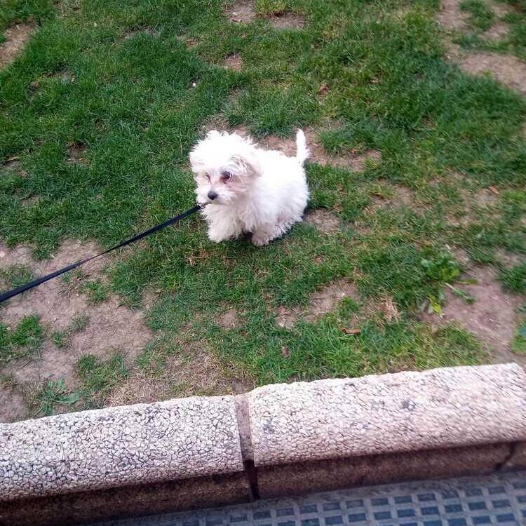 Foto de perfil de Sofia