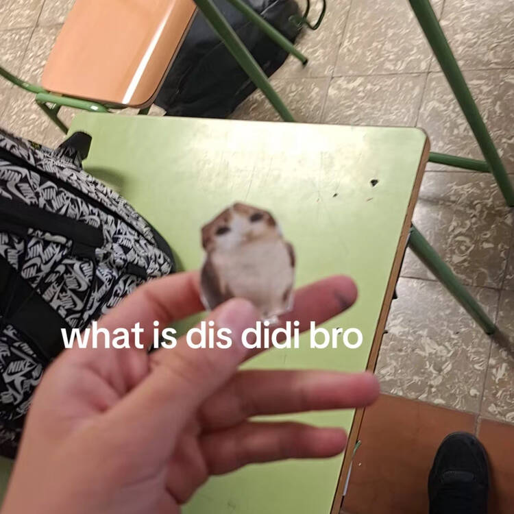 Foto de perfil de Danirl