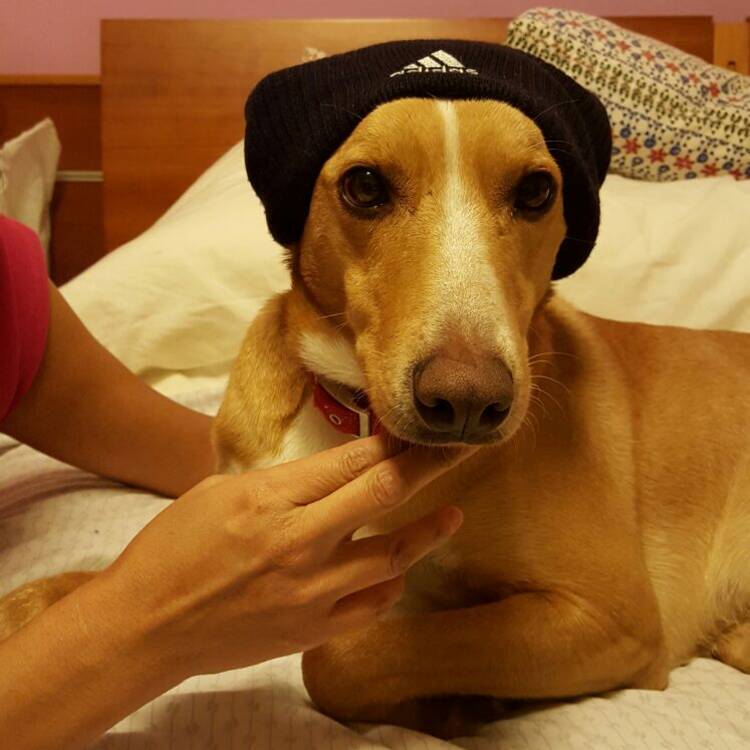 Foto de perfil