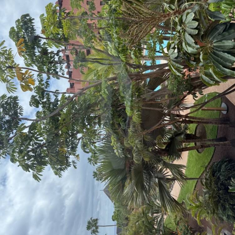Foto de perfil de Marisol