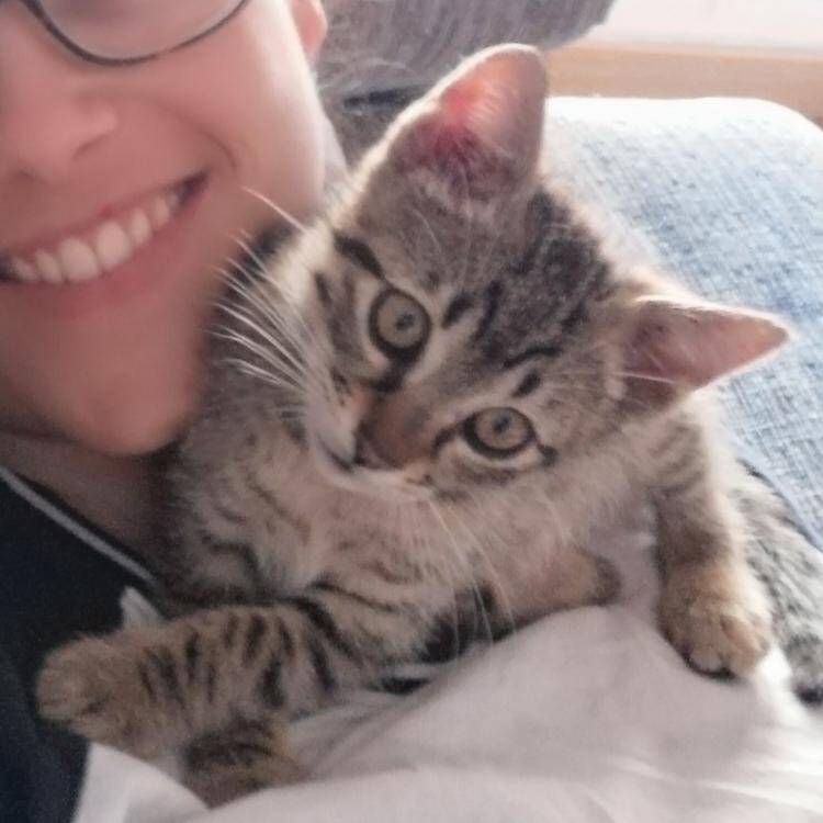 Foto de perfil