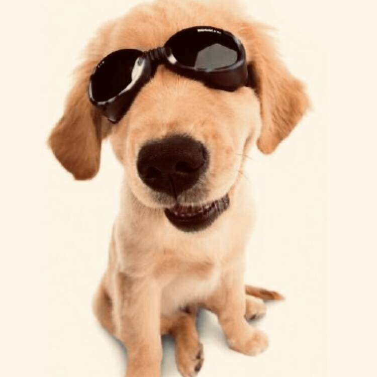 Foto de perfil de Alex