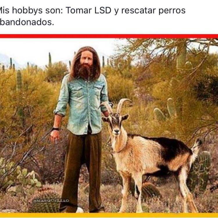 Foto de perfil