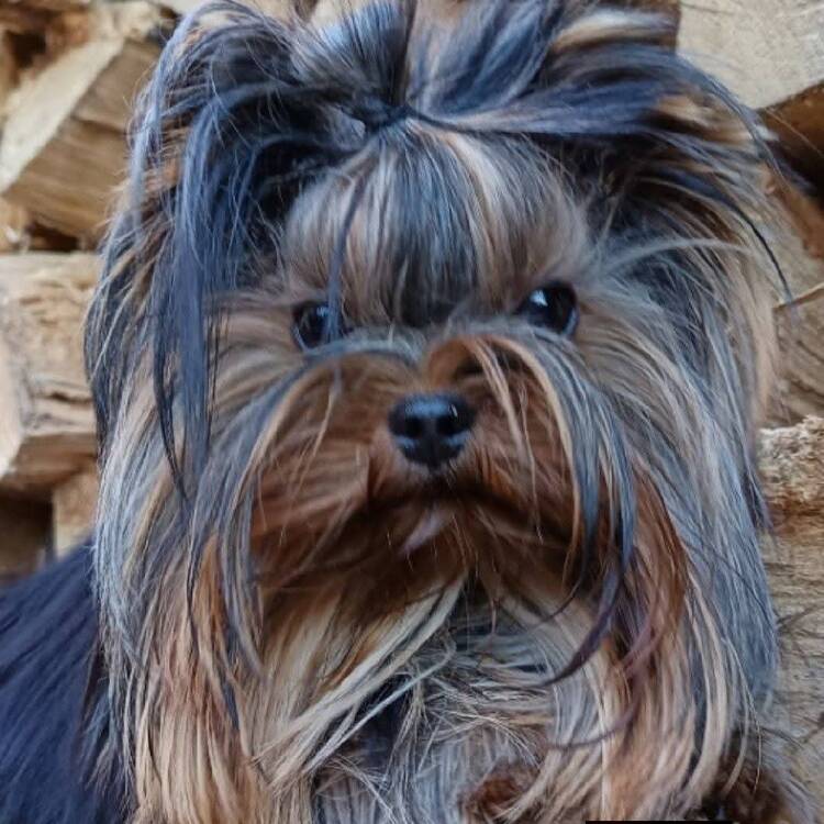 Foto de perfil de Merche