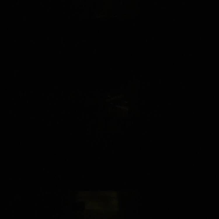 Foto de perfil de Jes8282