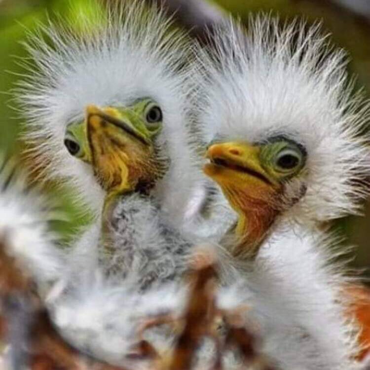 Foto de perfil de ggs