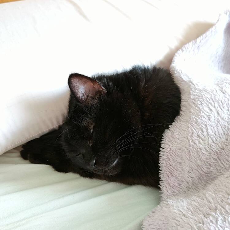Foto de perfil de Karen