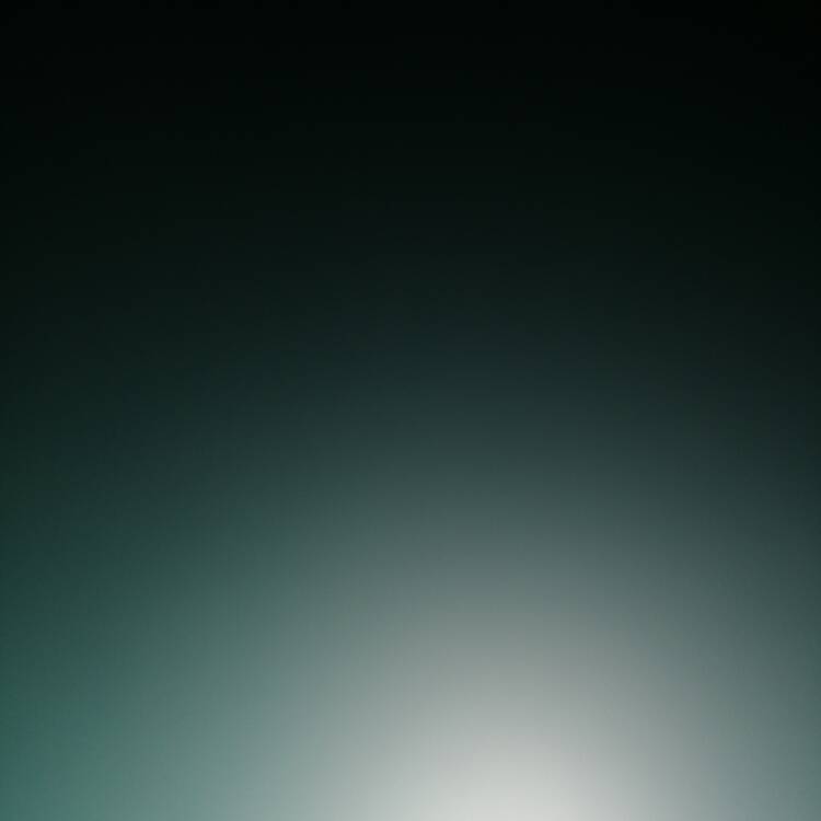 Foto de perfil de Pepita