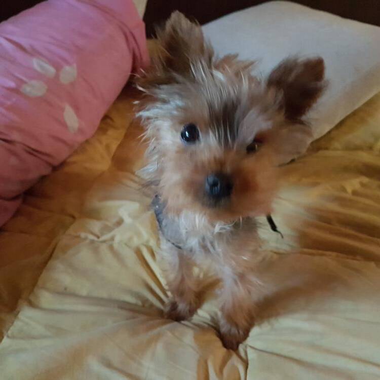 Foto de perfil