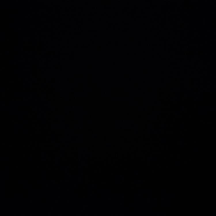 Foto de perfil de N