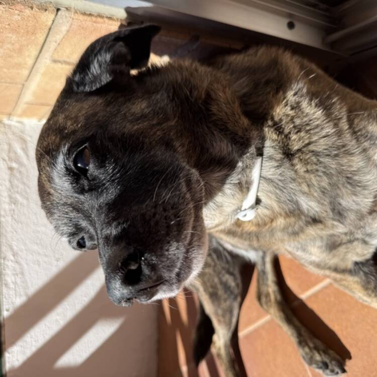 Foto de perfil