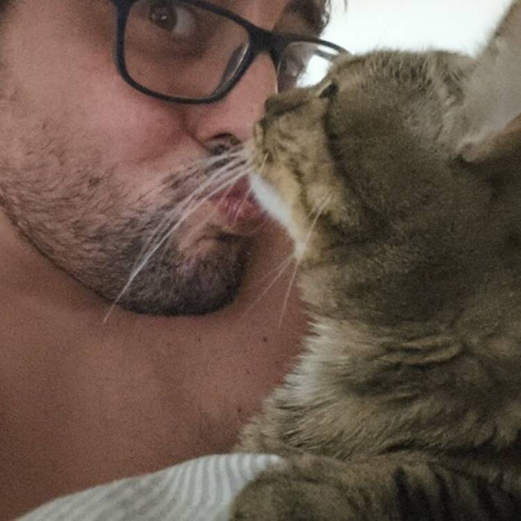 Foto de perfil de Francisco Julio