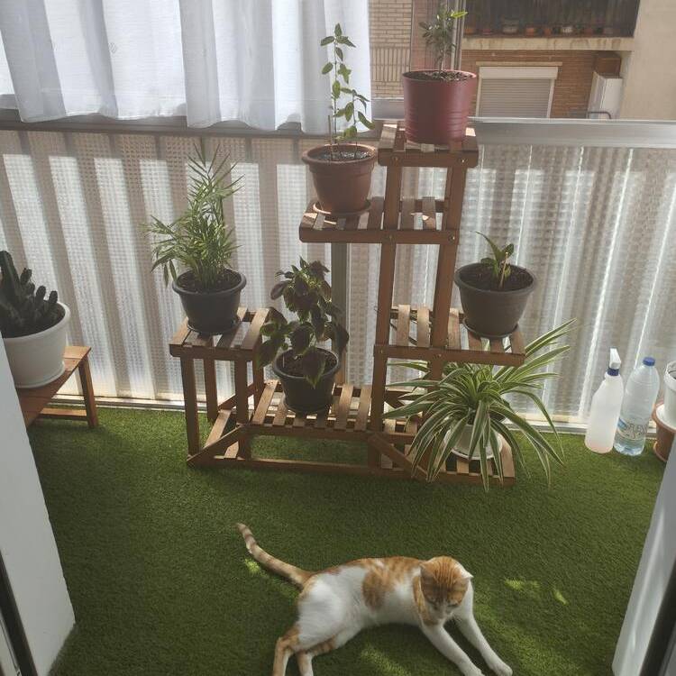 Foto de perfil de Diego