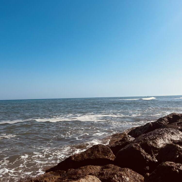 Foto de perfil de Lo