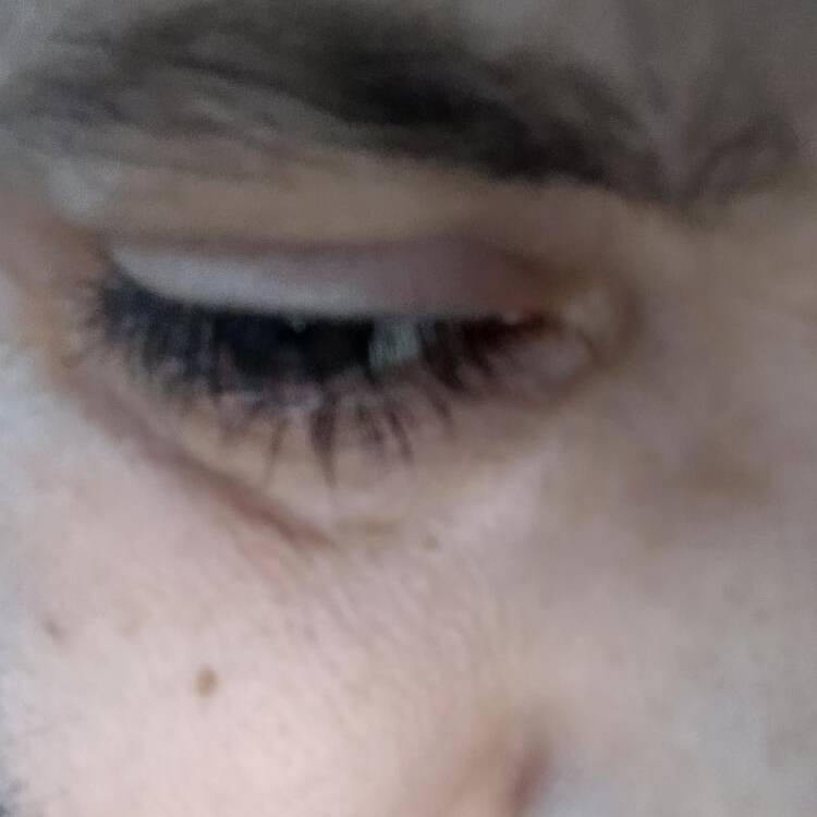 Foto de perfil de Luis