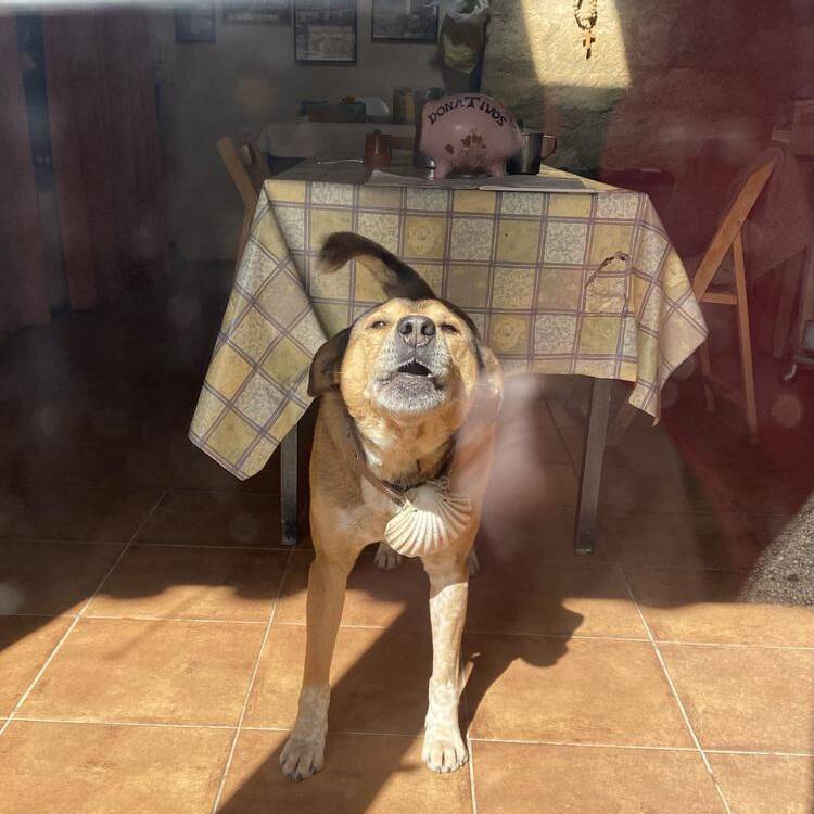 Foto de perfil de Paco