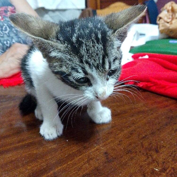 Foto de perfil de Francisco